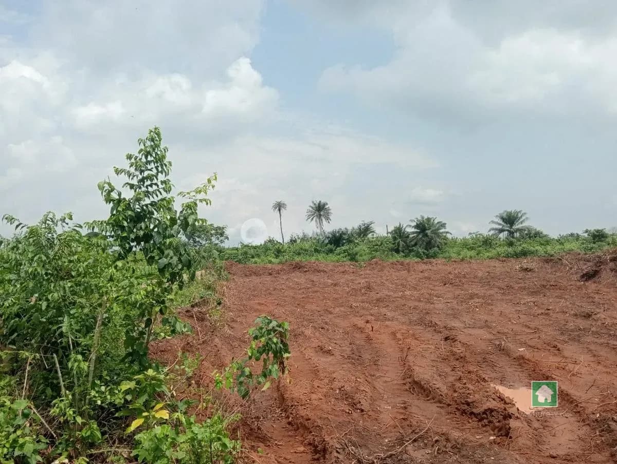 Prime Land for Sale in Mowe Ofada, Ogun