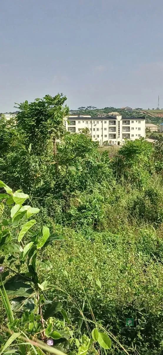 Spacious Land Opportunity in Mowe Town, Ogun State
