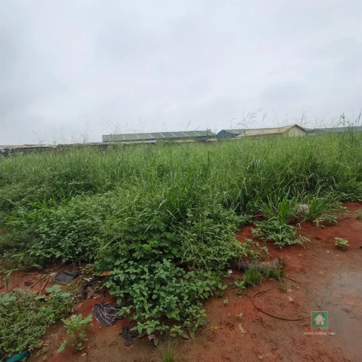 Spacious Land Available for Lease on Lagos-Ibadan Expressway