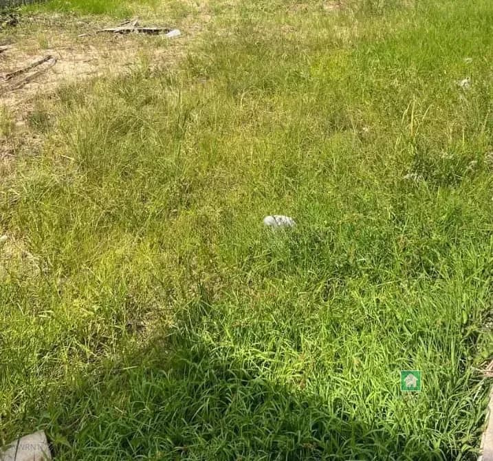 110 Acres of Land Along Sagamu-Ijebu Ode Expressway, Ososa