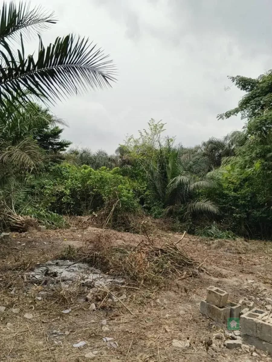 600 sqm Land Available in Mowe Town, Ogun