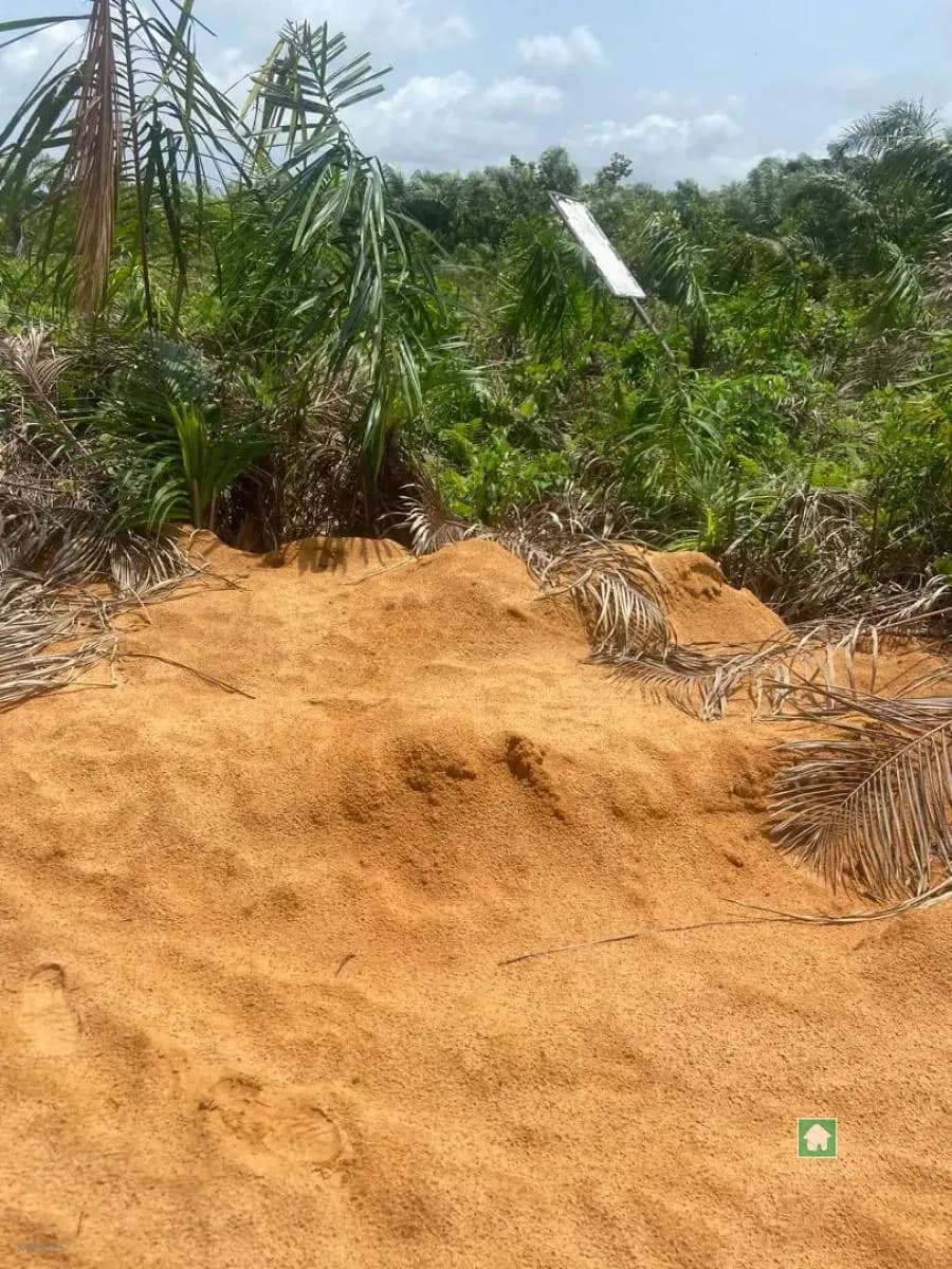500 Sqm Land for Sale in Epe, Lagos