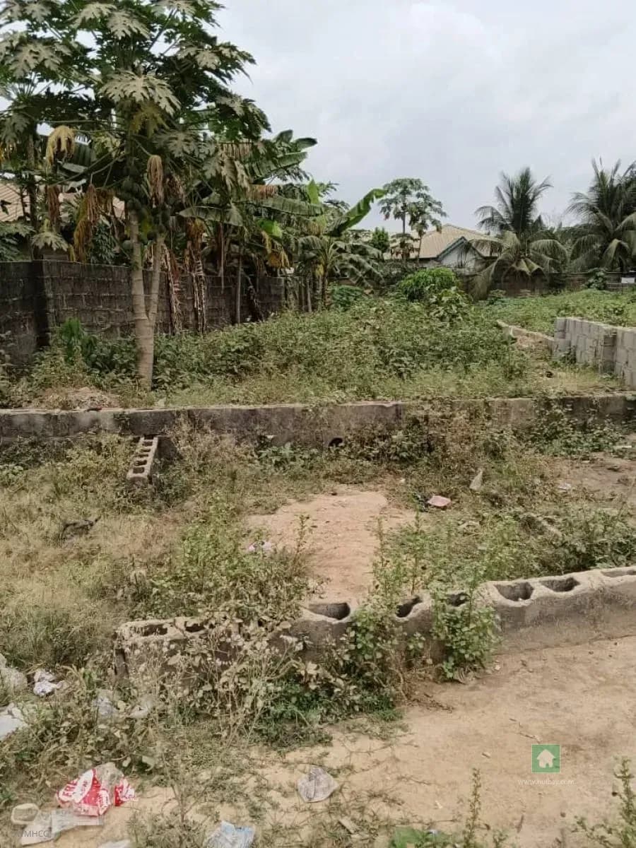 Desirable Land Opportunity in Mowe Town, Ogun