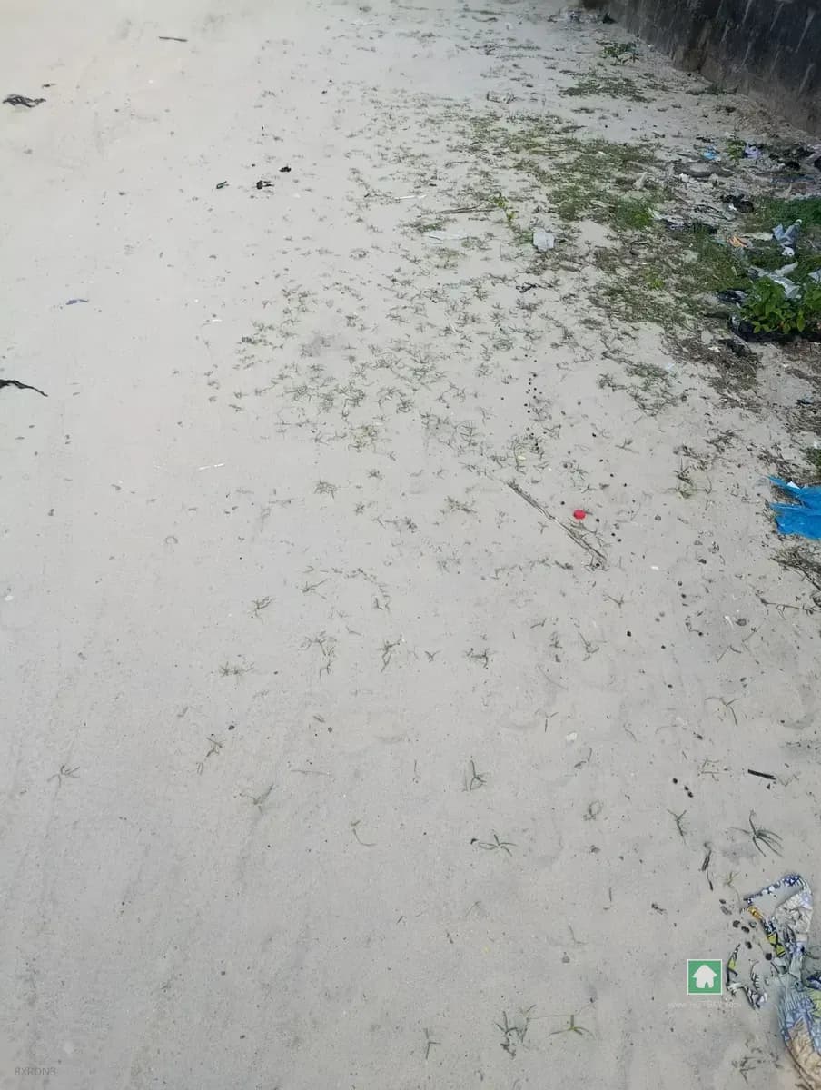 Land in Epe, Lagos, Facing Major Expressway