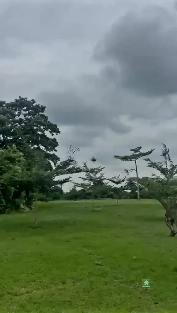 100 Acres Land in Sagamu, Ogun, Fenced & Gated